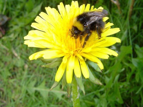 Александр Андрианов