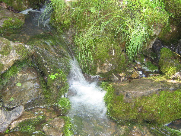 Гузель Илишева