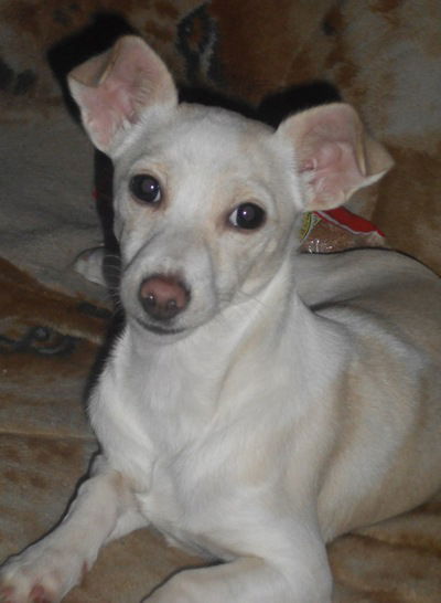 Анастасия Каримова