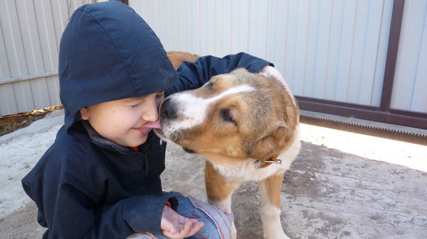 Арсений Сапрыкин
