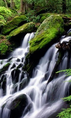 Ольга Шишкина