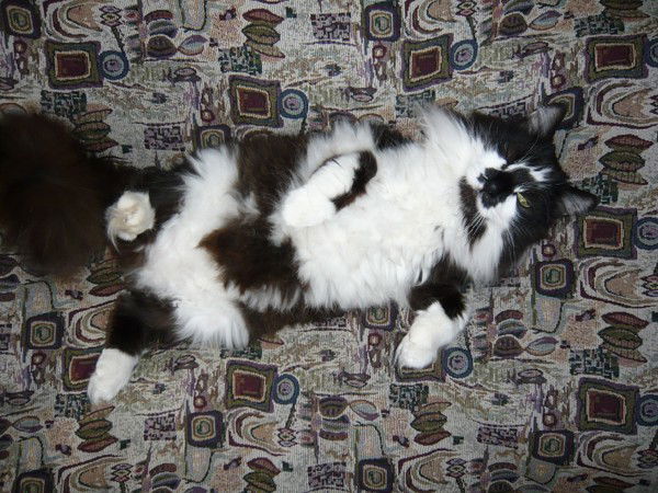 Ольга Кругликова