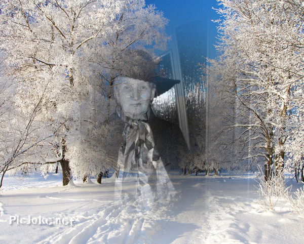 Светлана Фадеева