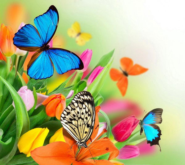 Ажара Мелдебекова