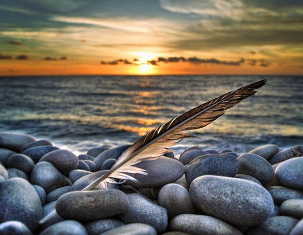 Екатерина Попович