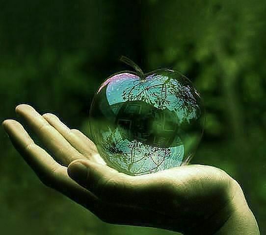 Наталья Малахова