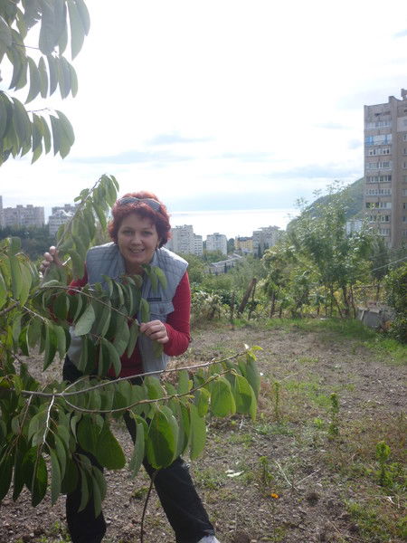 Светлана Степанова