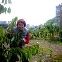 Светлана Степанова
