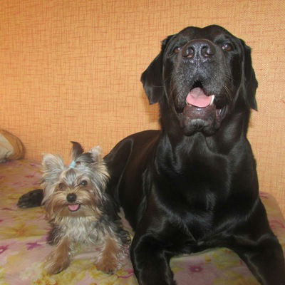 Ксюша Куприянова