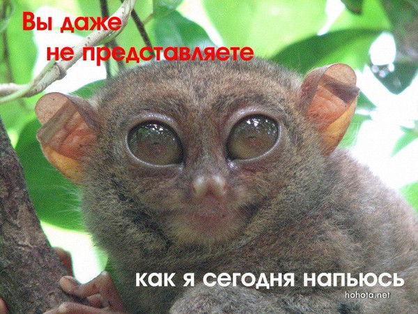 Вадим Маришкин