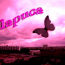 Лариса )))))))))))))
