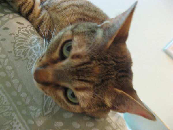 Игорь Зарецкий