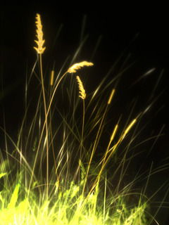 Евгения Бирюкова