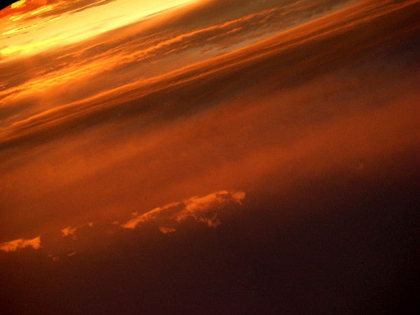 Сергей Огурцов