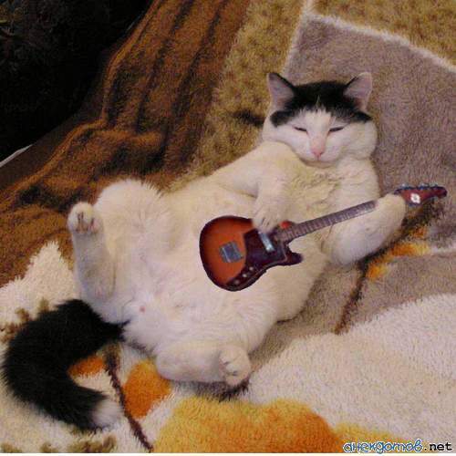 Вероника Рожковская