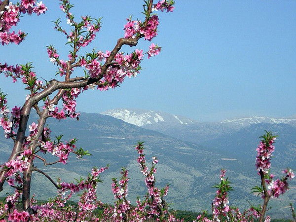 Айгул Саламатова