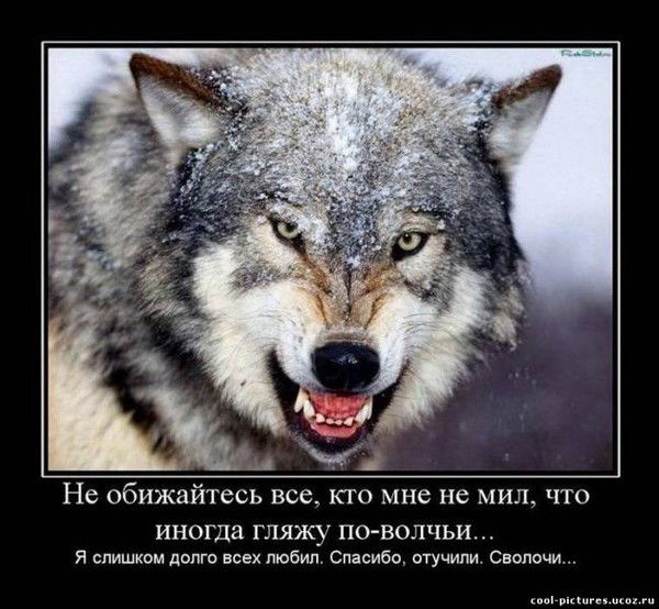 Асрор Курбанов