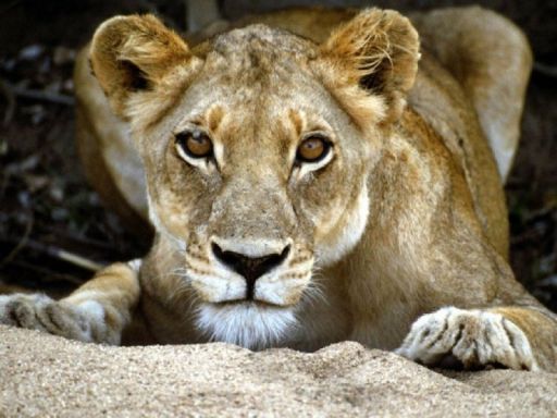 Наталья Протасова