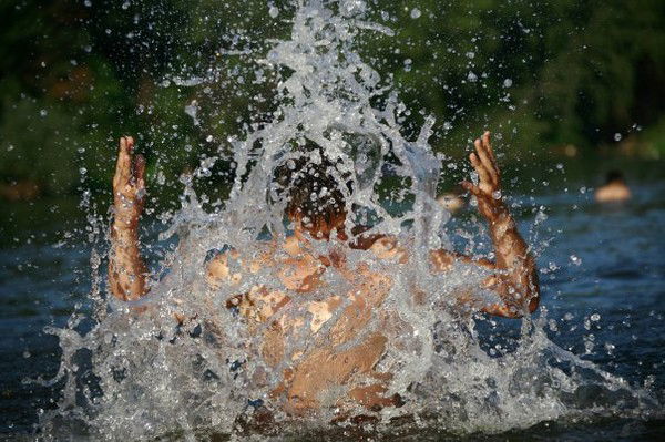 Александр Дубов