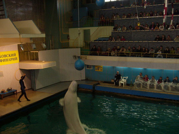 Андрей Егоров