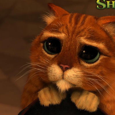 Ирина Ткачь