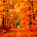 Николай Рудковский