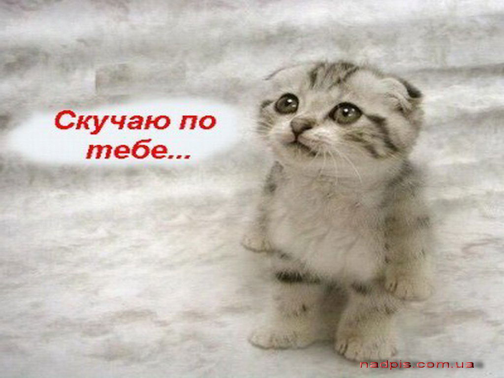 Александр Любит Женщин