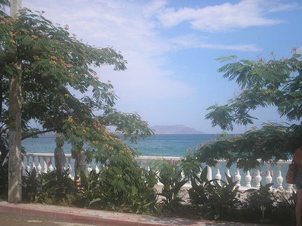 Анна Савенок