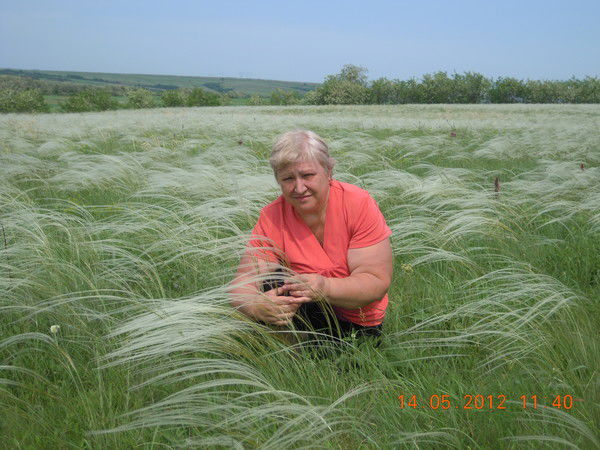 Наталья Николаева