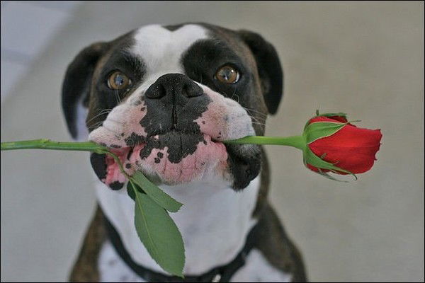 Екатерина Чермашенцева