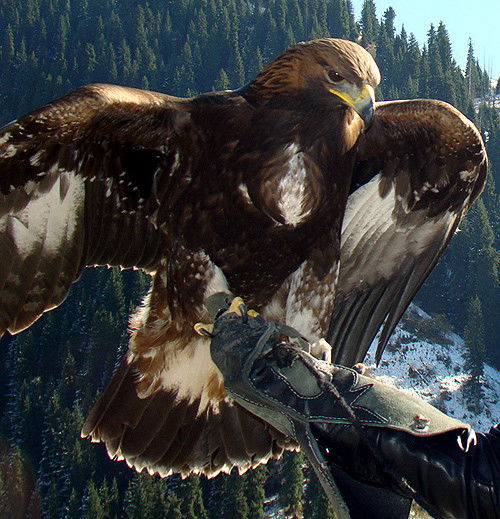 Абзал Аташев