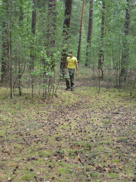 Николай Киселев