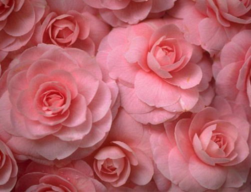 Лариса Бекмуратова