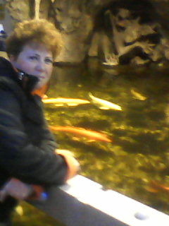 Елена Соснина