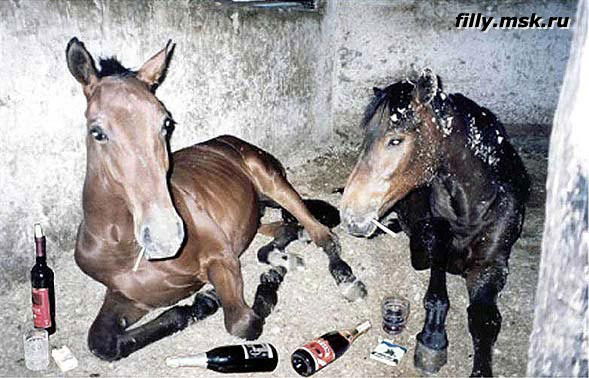 Екатерина Бутковская