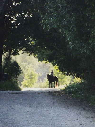 Иришка Смирнова