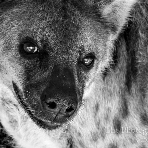 Екатерина Рыбакова