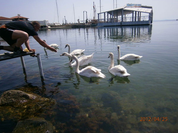 Денис Мосиенко