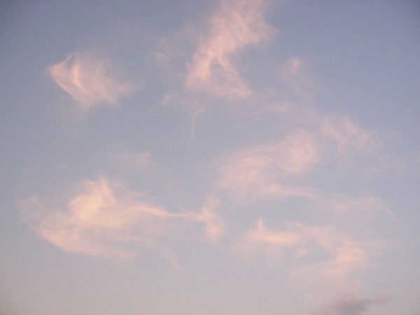 Елена Гурташева