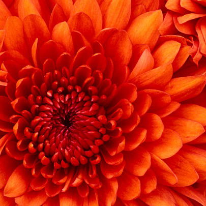 Гулнур Молдина