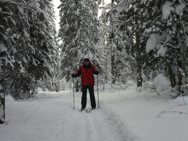 Сергей Борисенко