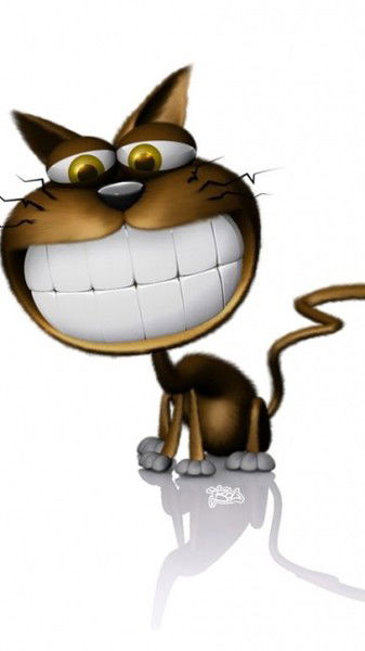 Николай Бухтаревич Зф