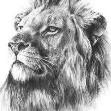 Мухит Жумагазин