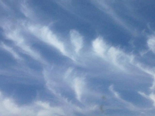 Венера Миннебаева