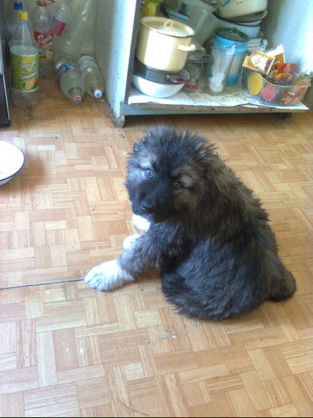 Любовь Артемова