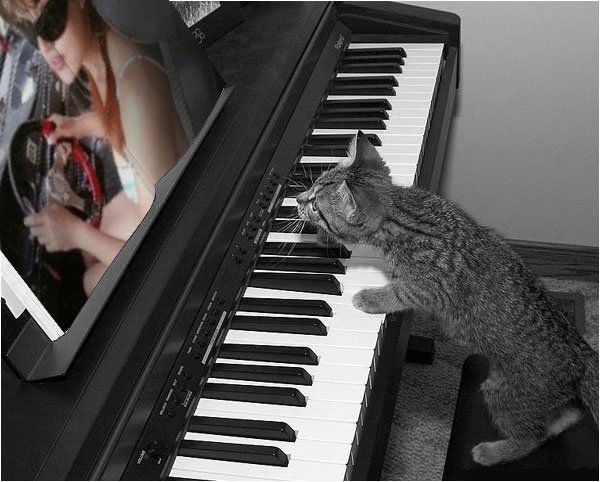 Олеся Пахоменкова