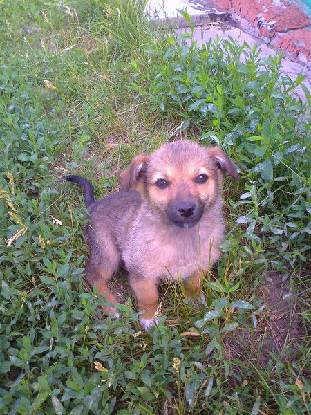 Настя Евтеева