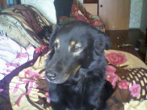 Татьяна Костенкова