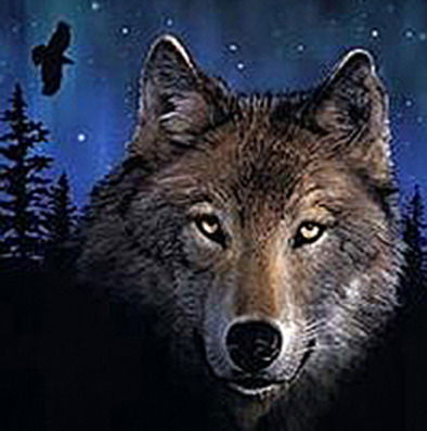 Сергей Васнёв (Svarozhich)