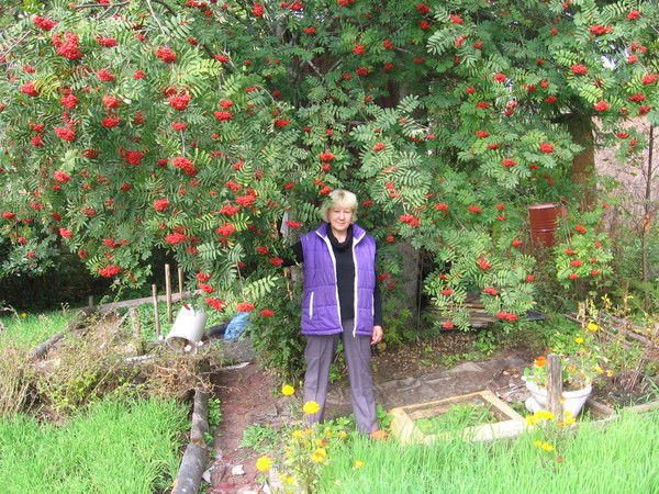 Любовь Соколова